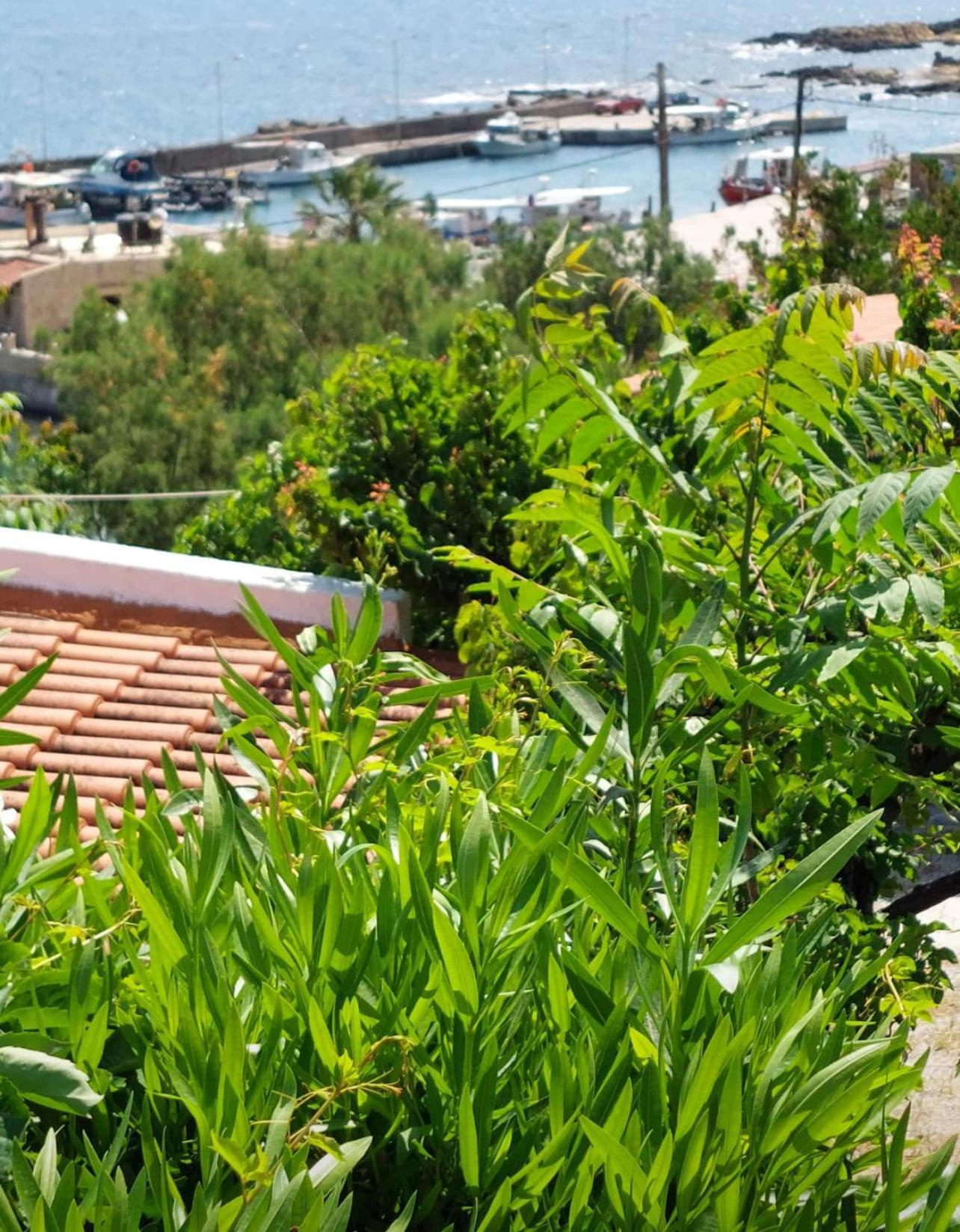 Villas Vista Del Mar كيساموس المظهر الخارجي الصورة