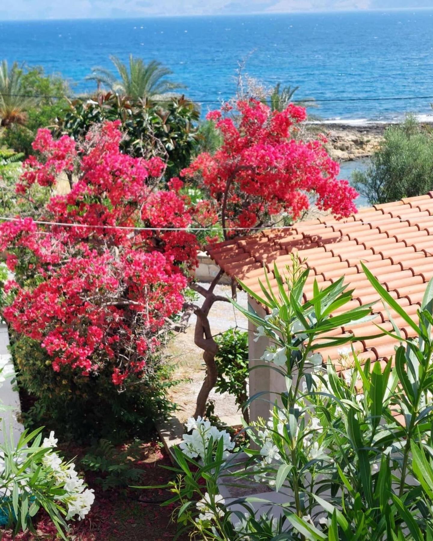 Villas Vista Del Mar كيساموس المظهر الخارجي الصورة